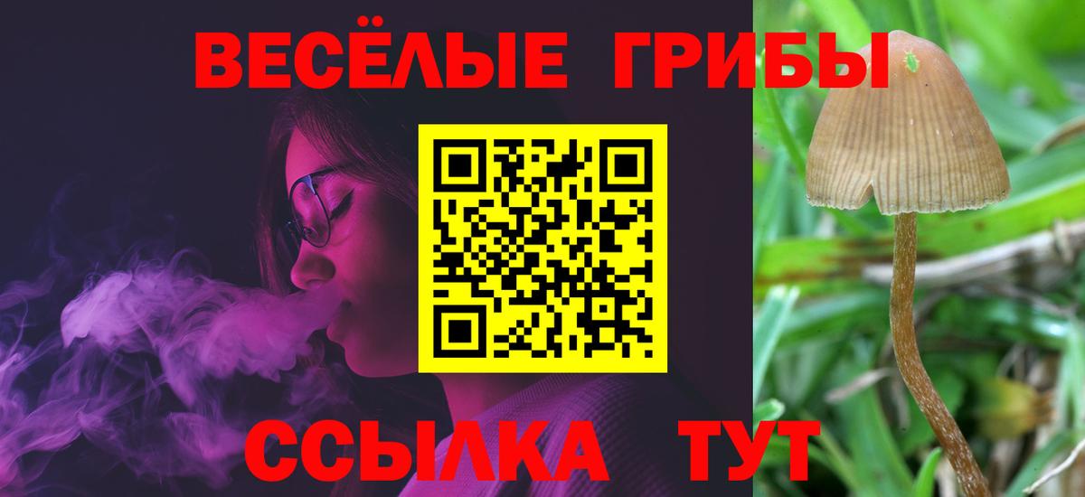 Галлюциногенные грибы мицелий  Вход с VPN  Анапа 