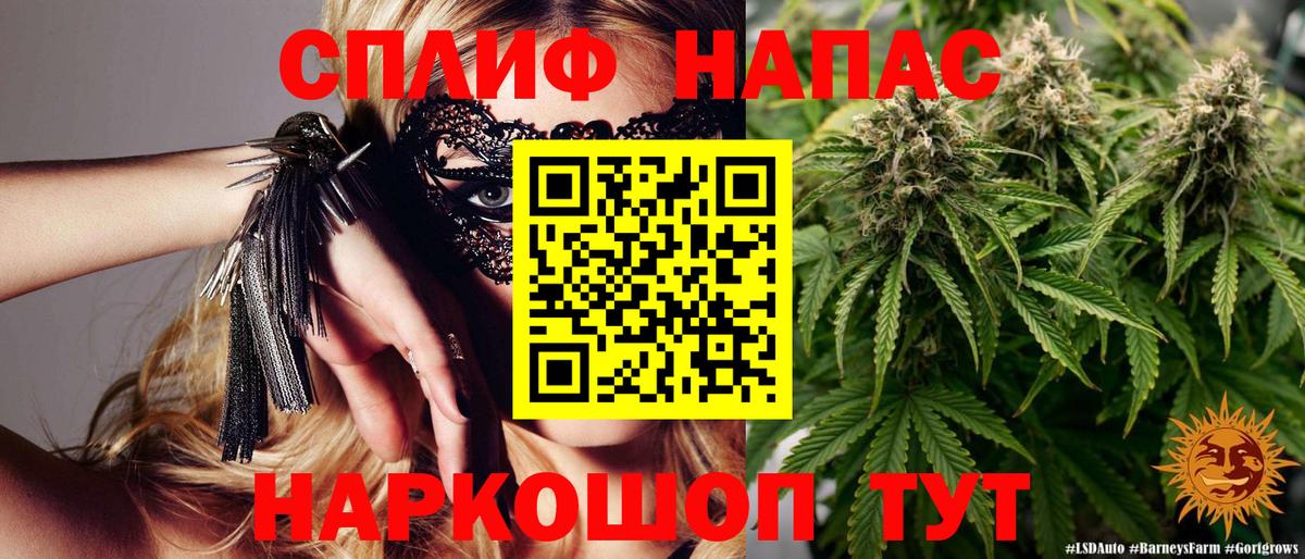 Конопля Bruce Banner Анапа